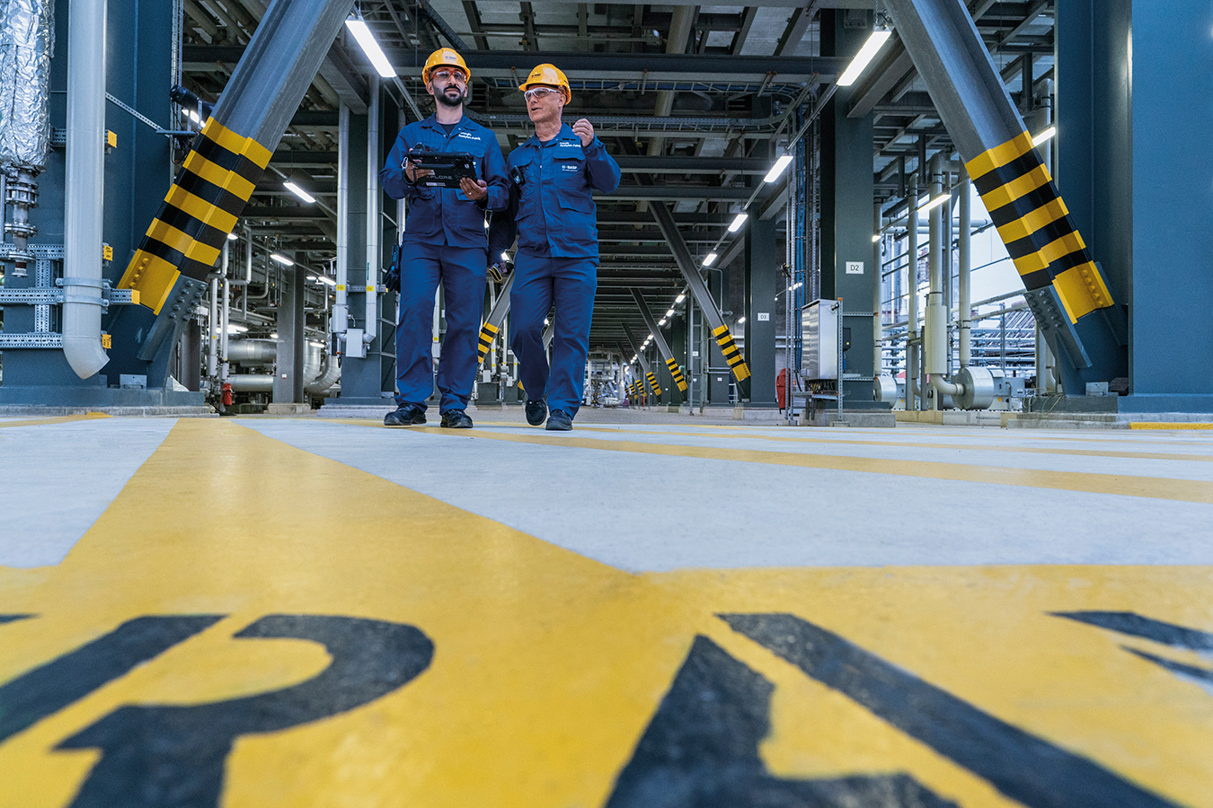 basf #5, 2020